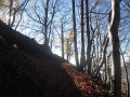 008_Monte Boglia_11-2022